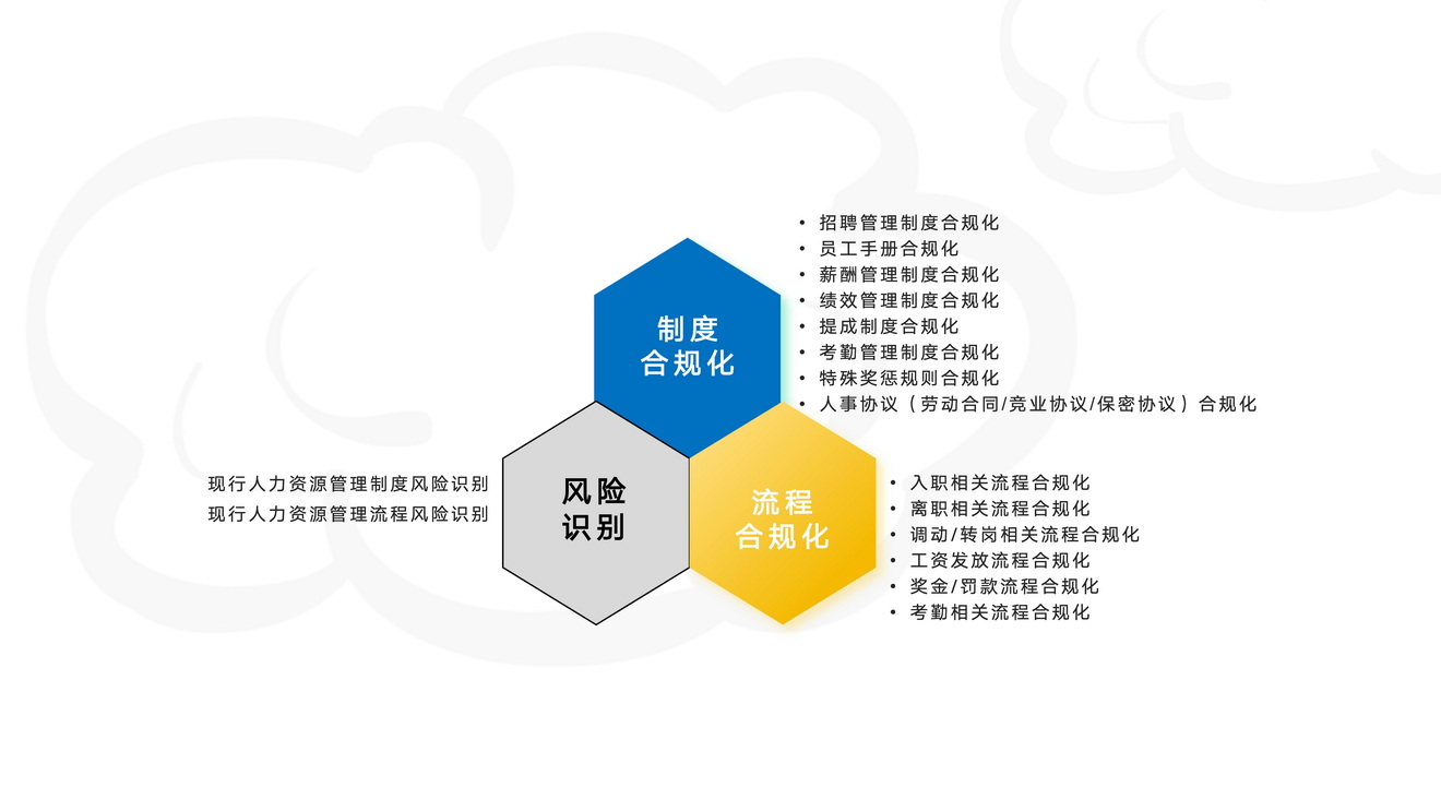 人力资源管理体系合规化服务