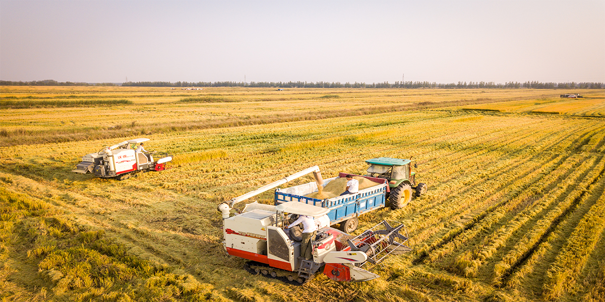 中国粮食行业协会关于公示 2020 年度 粮油加工企业“50 强”、“10 强”名单的公告