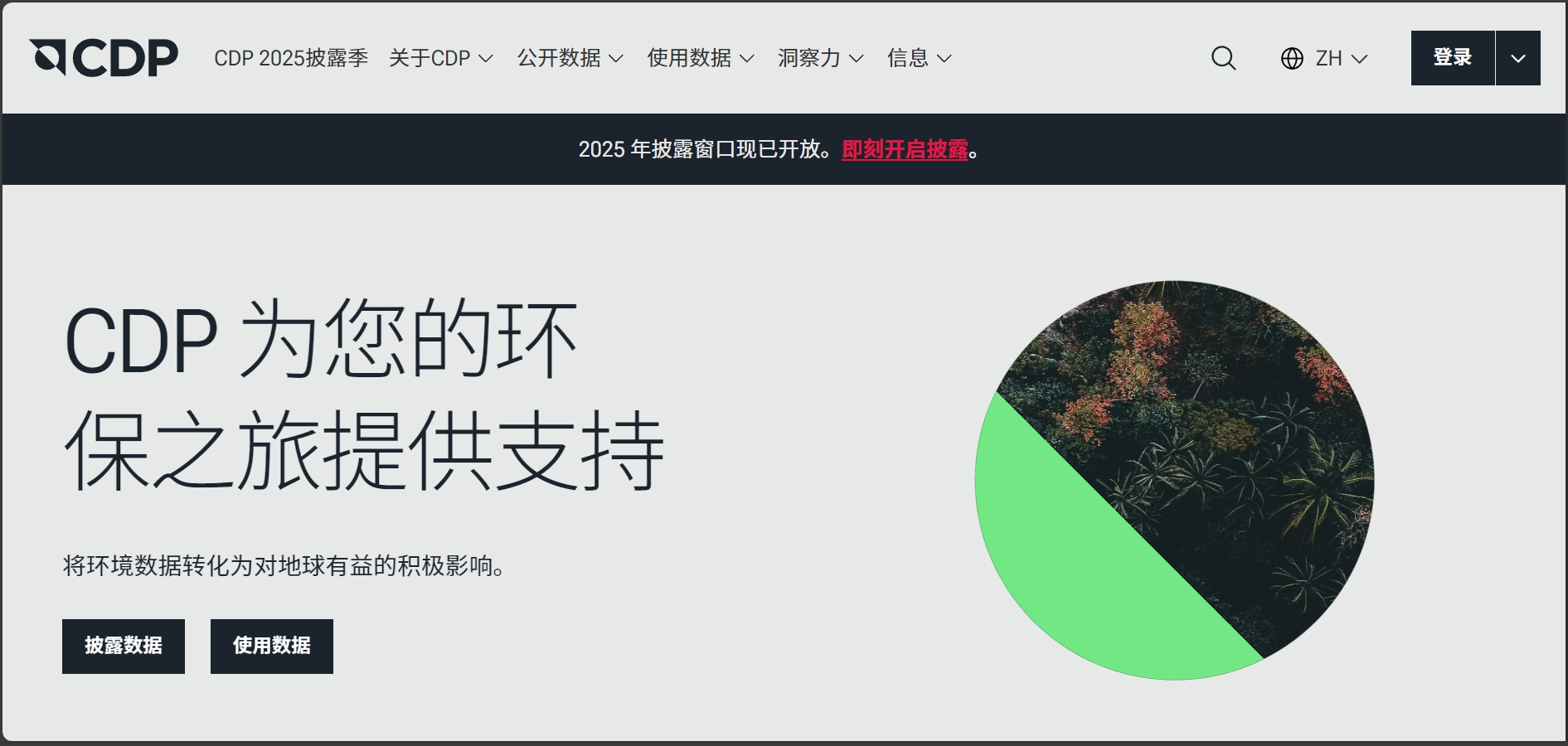 2025 CDP碳披露关键期：企业抢占绿色机遇的可持续发展新起点