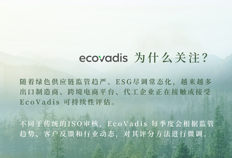 EcoVadis 2025第二季度评估更新详解 | 企业ESG治理必读指南