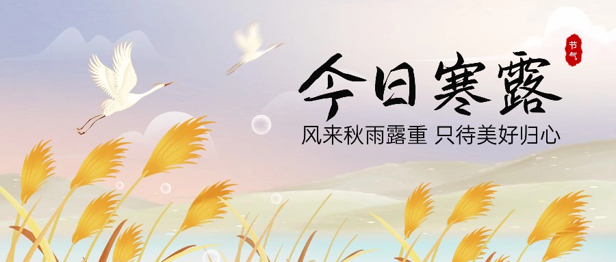 寒露收清露，收心亦收魂｜给节后心灵的七味醒神帖