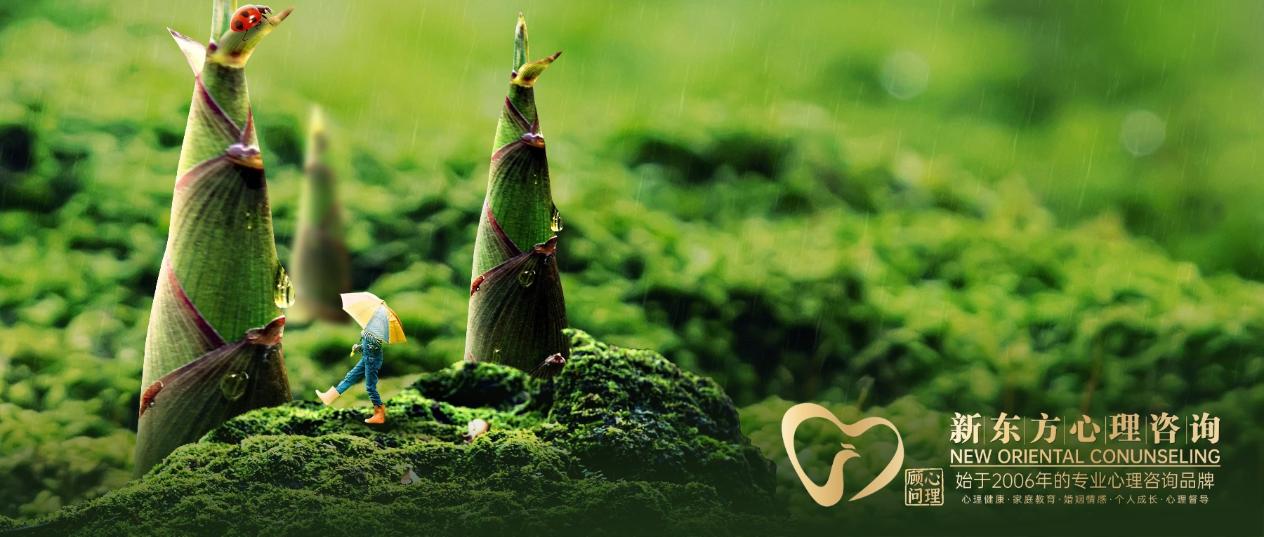 新芽破土,春意奔流 新芽破土,春意奔流