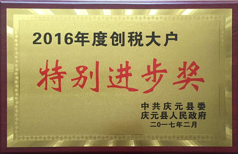 2016年度創(chuàng)稅大戶特別進步獎