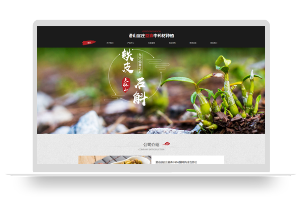 潜山官庄益鑫中药材种植