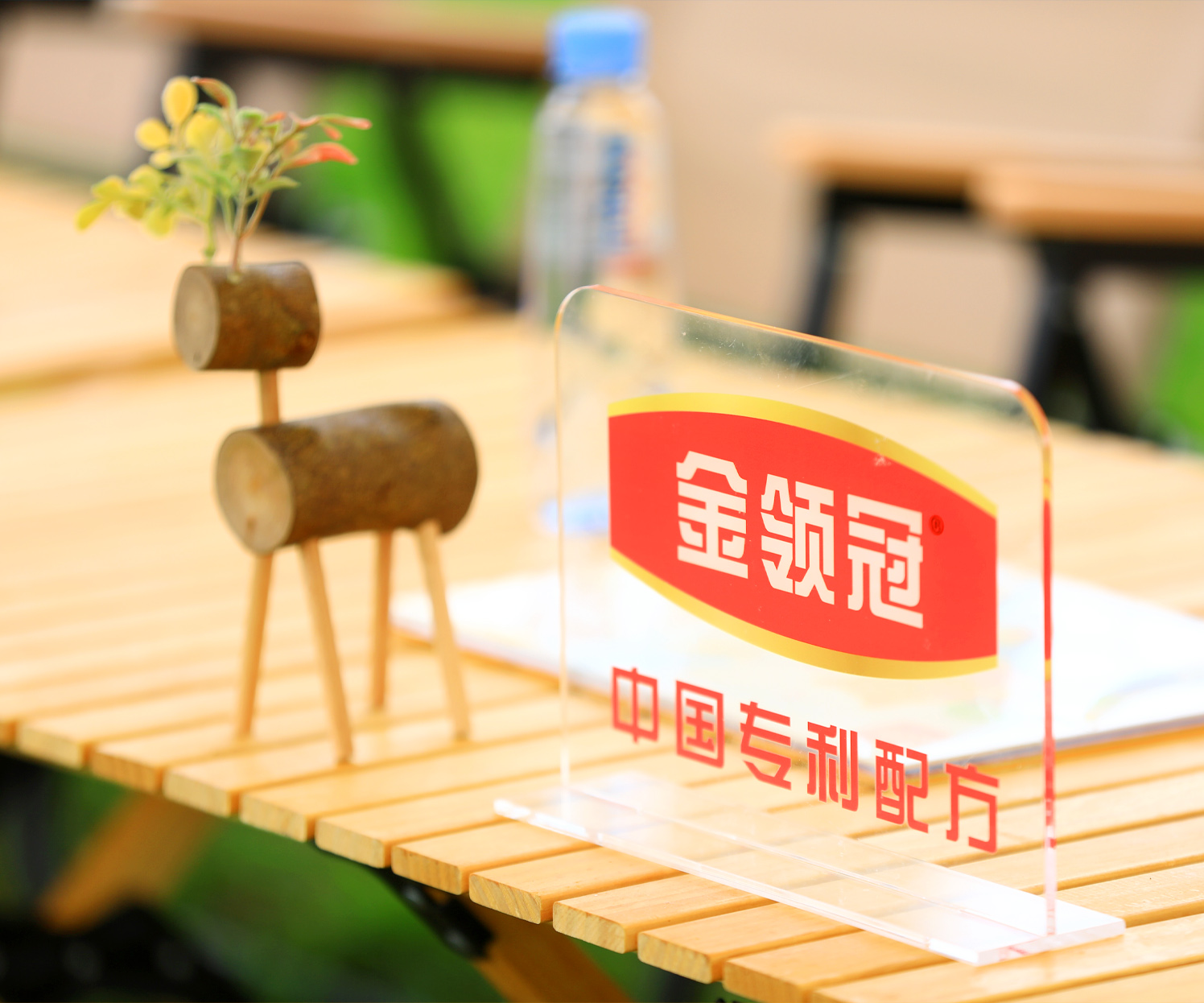 呼和浩特——金領冠草原露營音樂