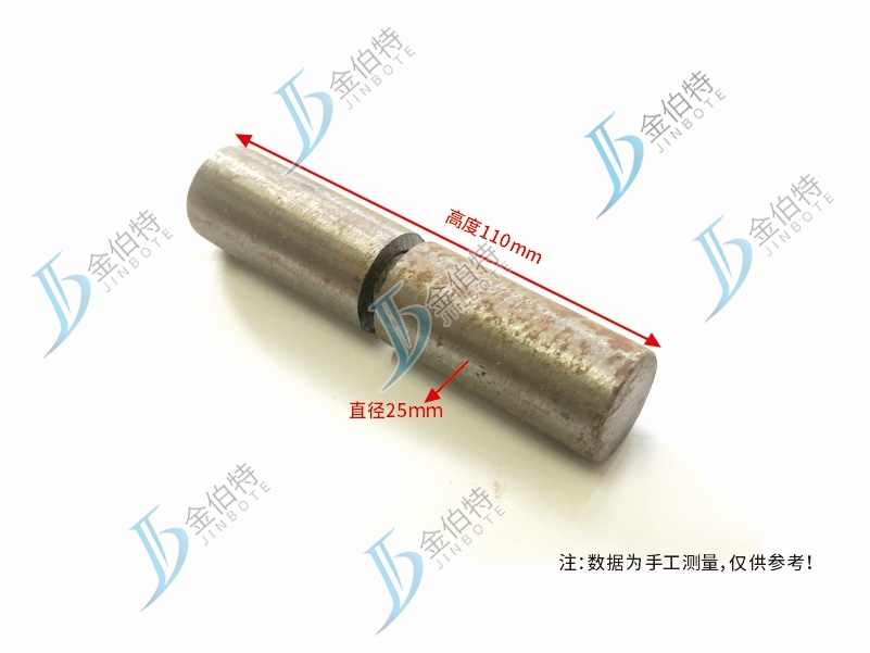 门轴  铁  25x110