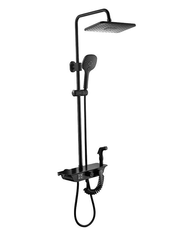 DS1005淋浴器