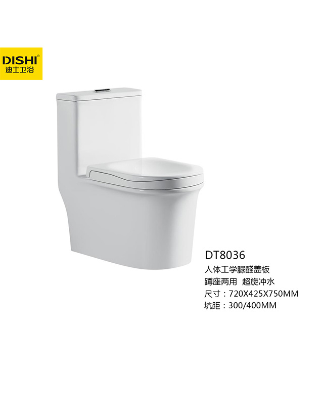 DT8036水箱