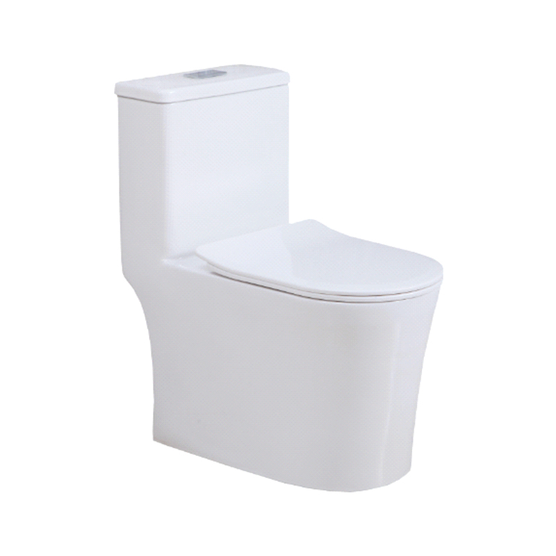 DT8039 连体坐便器