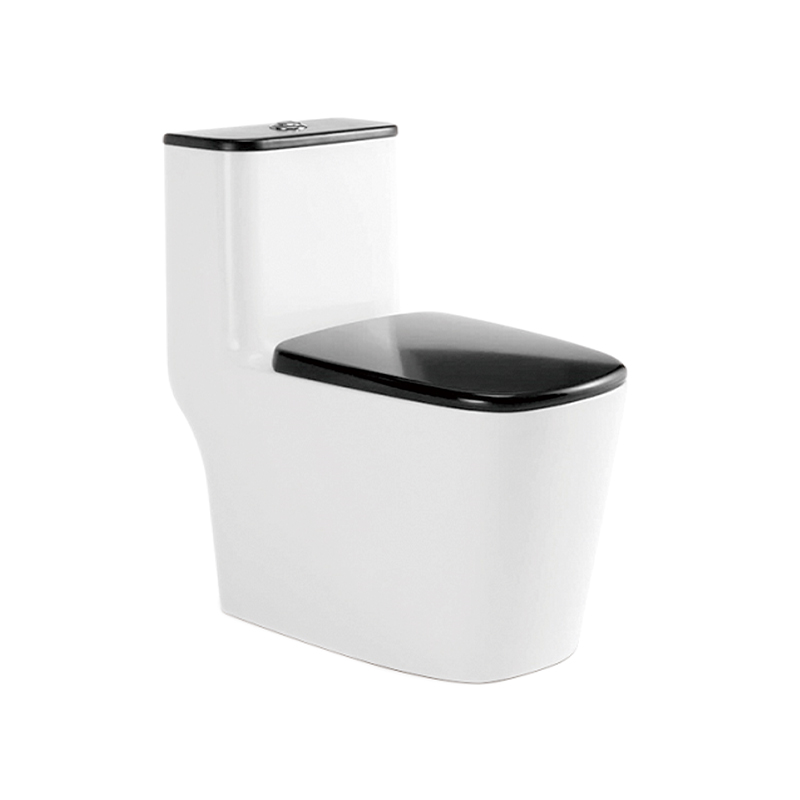 DT8050 连体坐便器