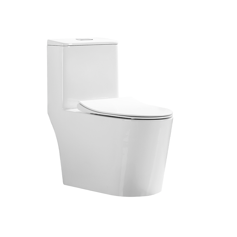 DT8051 连体坐便器