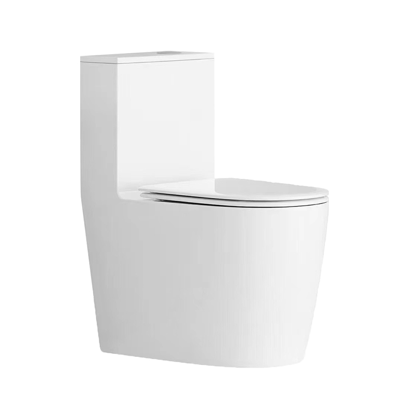 DT8053 连体坐便器