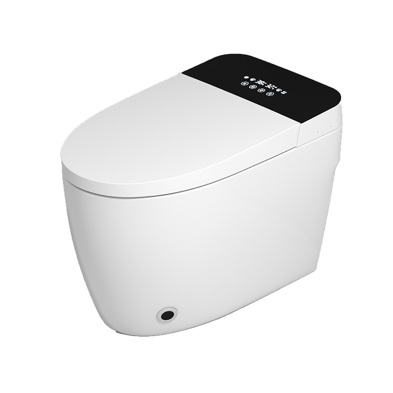 DT8919B 连体坐便器 标准版