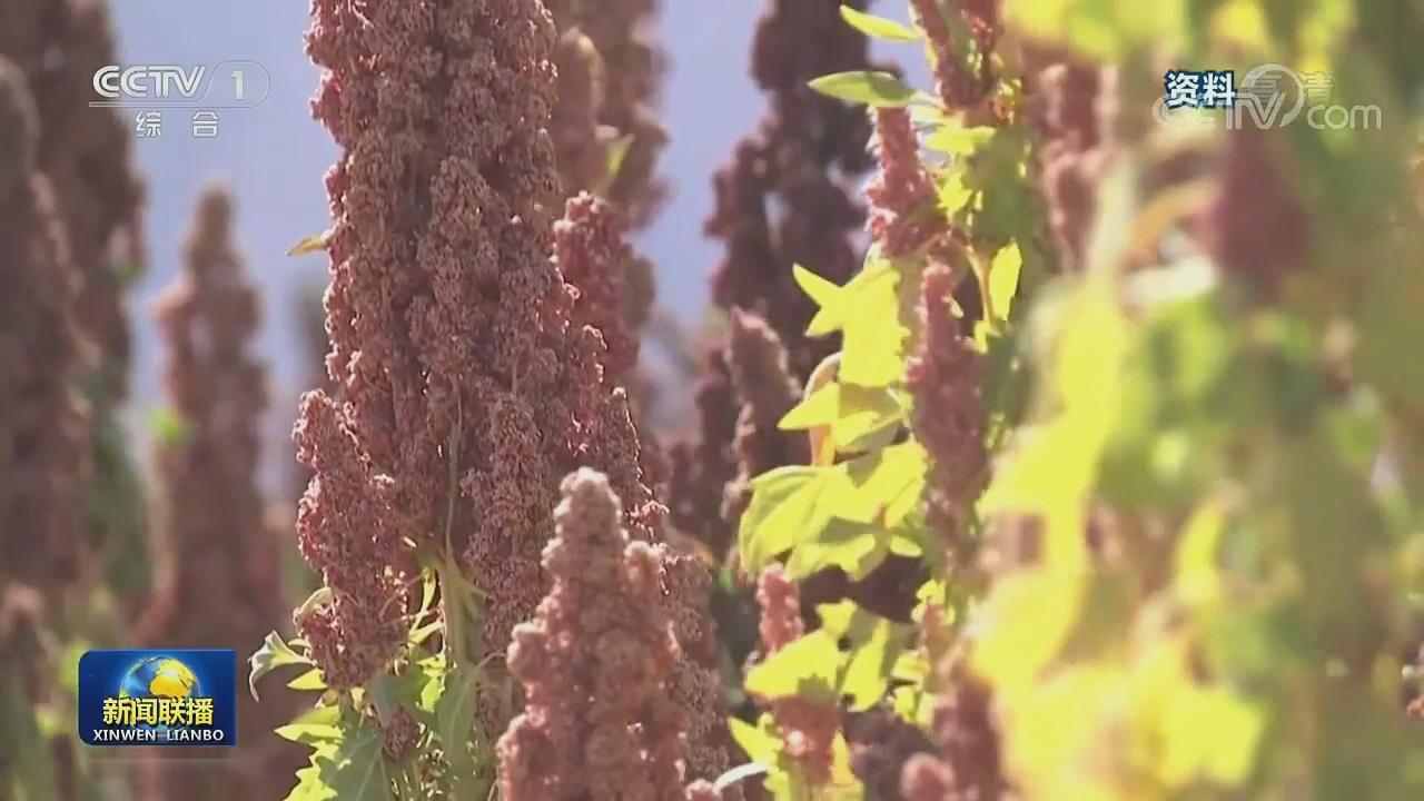 习总书记考察青海时指出：要做大做强有机特色产业，走出高质量发展之路！