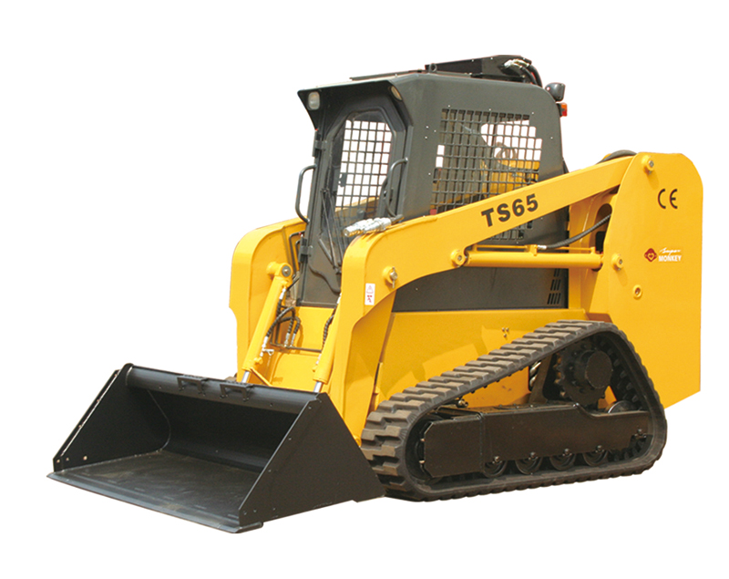 TS65