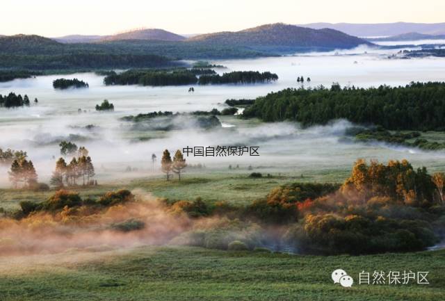 南瓮河湿地— 一幅幅自然风景的水墨画卷
