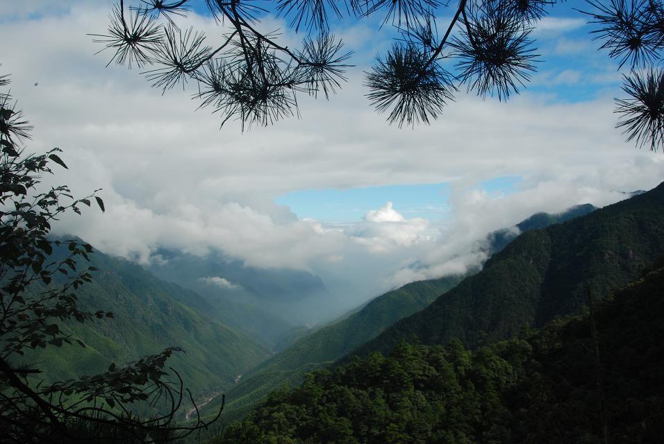 福建武夷山国家级自然保护区