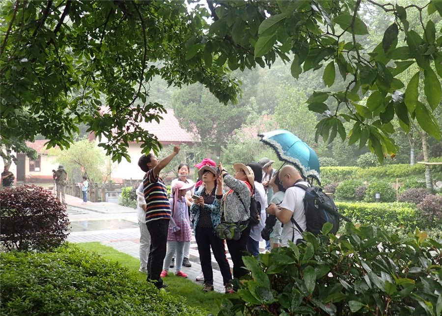 清凉峰国家级自然保护区科考之旅