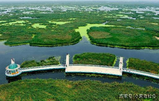 大庆龙凤湿地自然保护区，湿地有着“地球之肾”之称