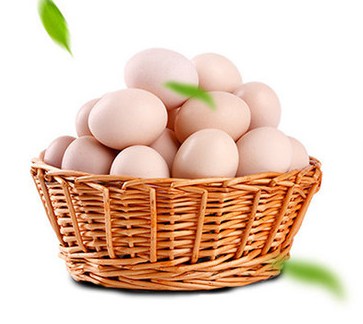 大化七百弄鸡 鸡蛋