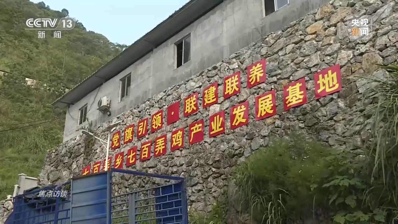 焦点访谈：合力打通七百弄鸡“出山路”