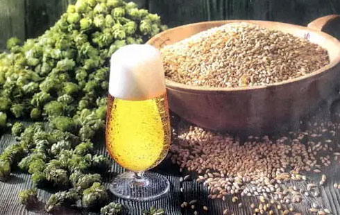 啤酒的原料
