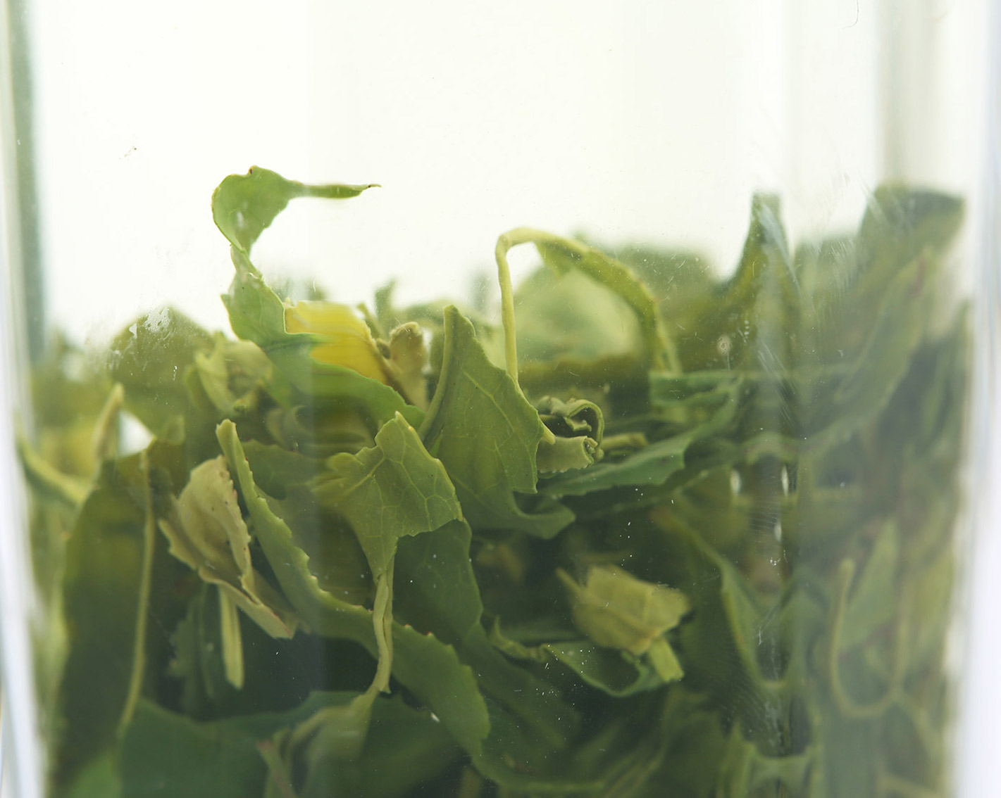 香茶