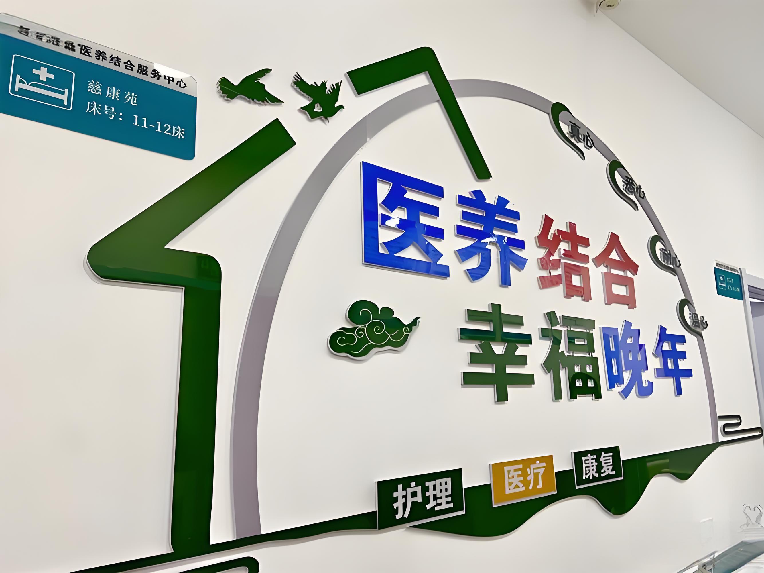 《医养结合示范项目工作方案（2025年版）》解读