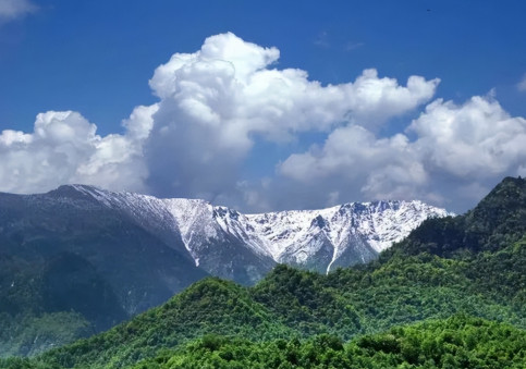 心手相牵 共创美好明天