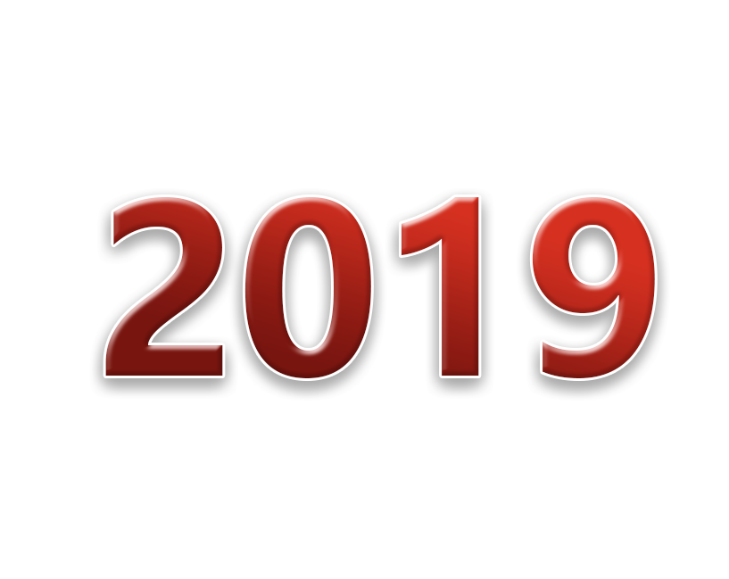 2019年度公示报告汇总表