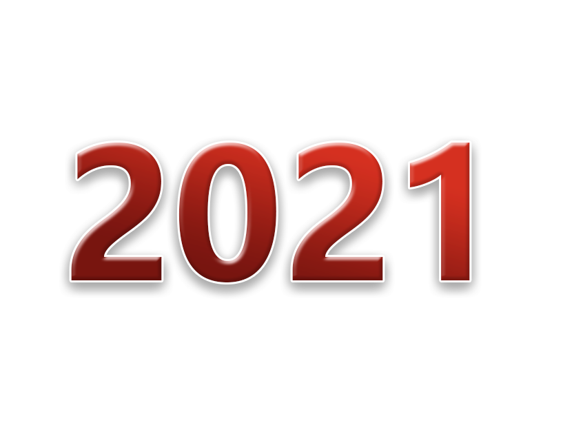 2021年公示报告汇总表