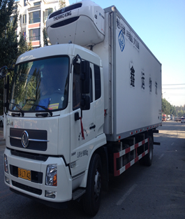 新购入车辆辽AL7142