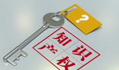 国知局：《推动知识产权高质量发展年度工作指引（2023）》全文发布
