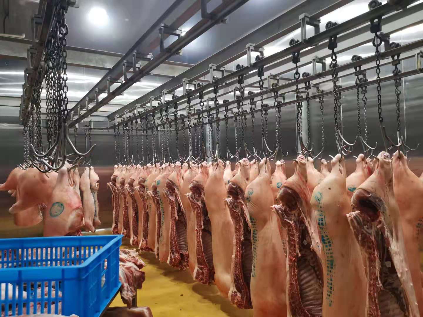 上海恒健农牧猪肉白条生产加工冷库