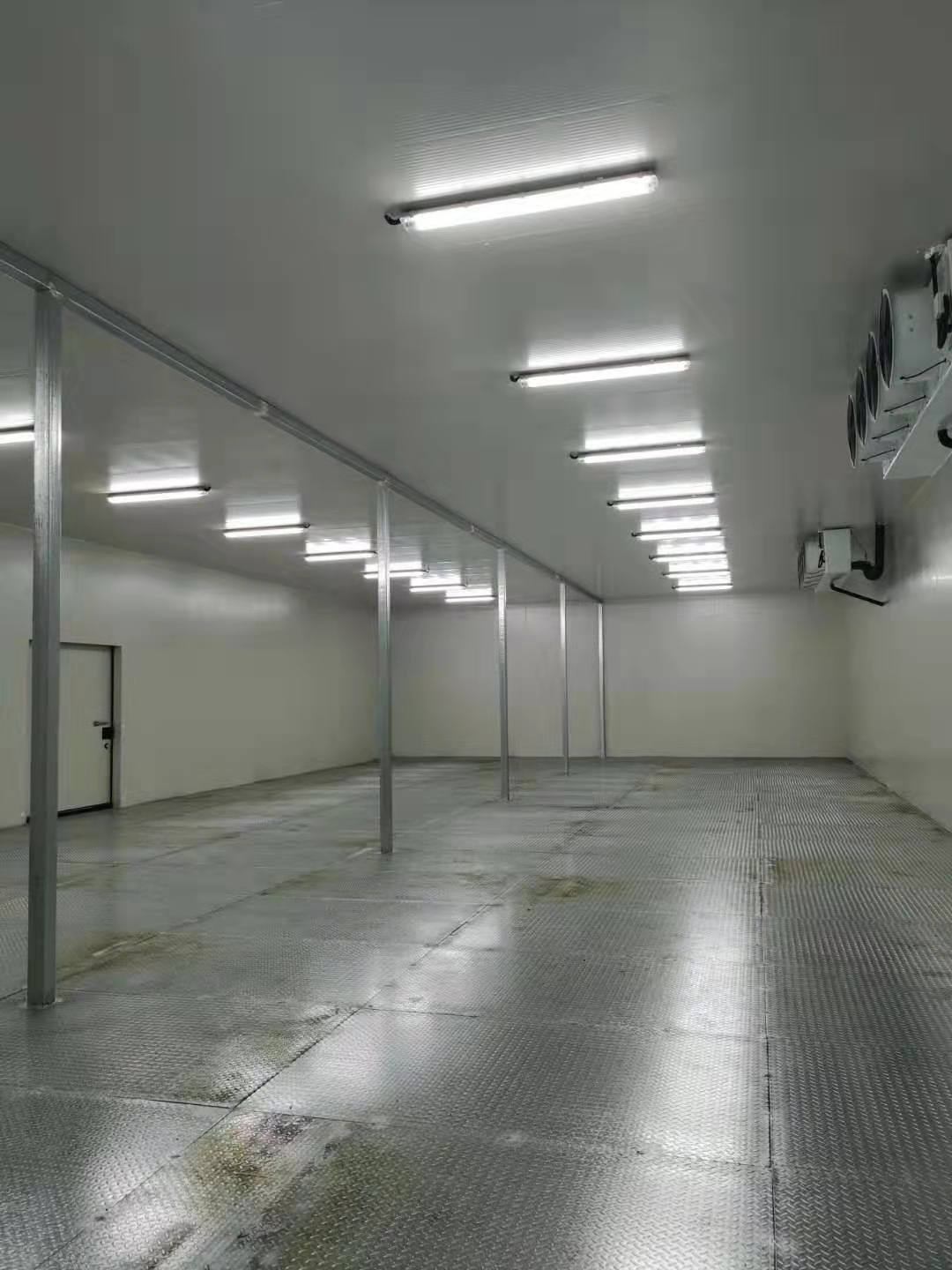 扬州普洛斯生鲜食品冷链冷冻库