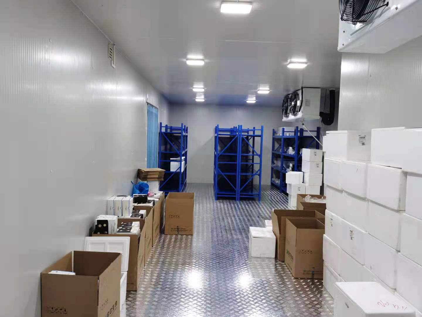 上海群青生物体外诊断试剂一期冷库