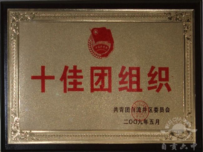 2009年十佳团组织