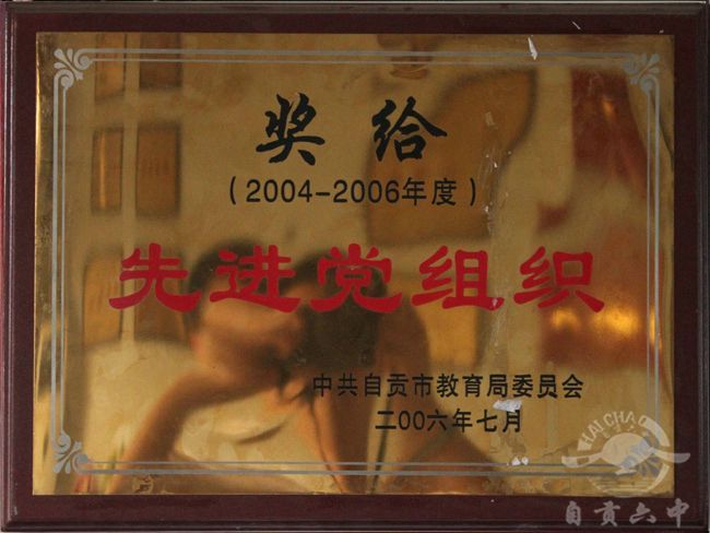 2004-2006年先进党组织