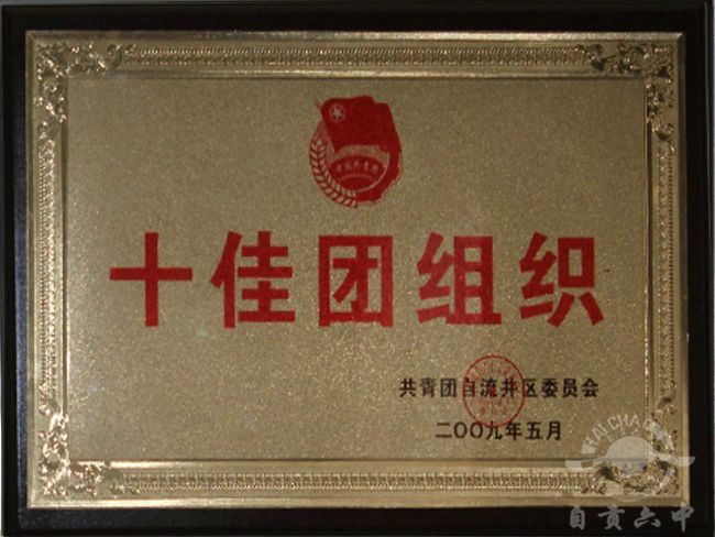 2009年十佳团组织