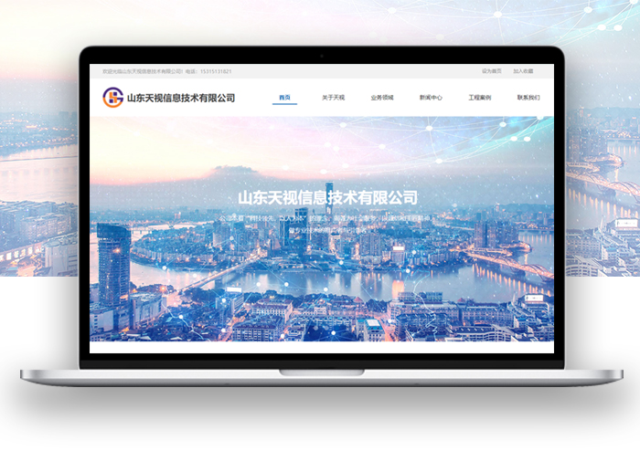 山东天视信息技术有限公司