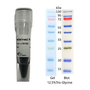 X-biotech彩色预染蛋白质分子量标准X10105（15-130kDa）
