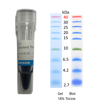 X-biotech彩色预染蛋白质分子量标准X10130（2.7-40kDa）