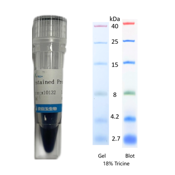 X-biotech彩色预染蛋白质分子量标准X10132（2.7-40kDa）