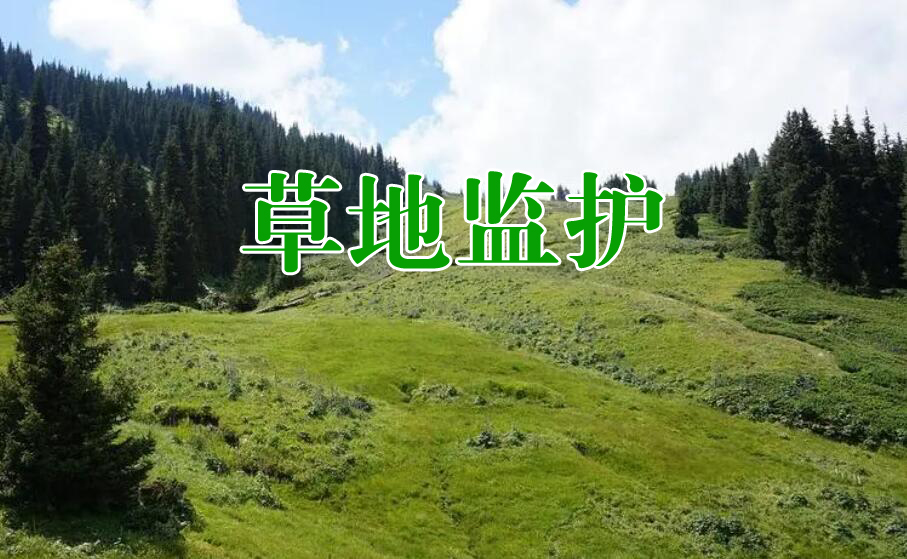 草地監(jiān)護