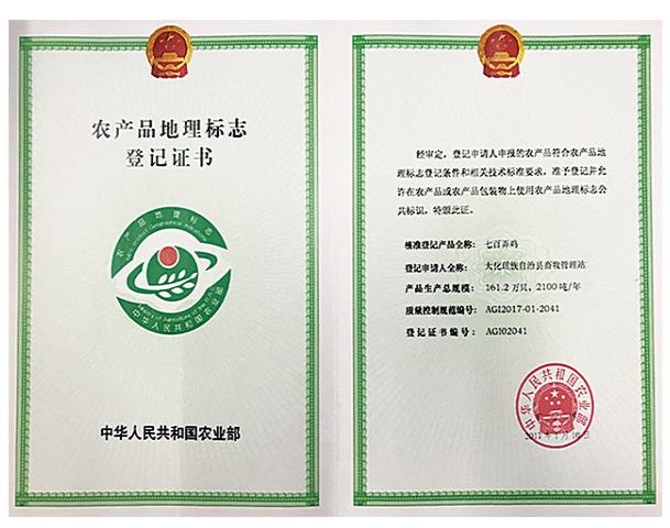 荣誉资质
