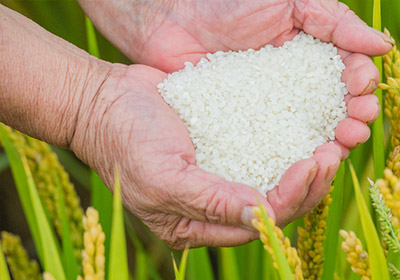 鹽豐大米用什么容器裝更好