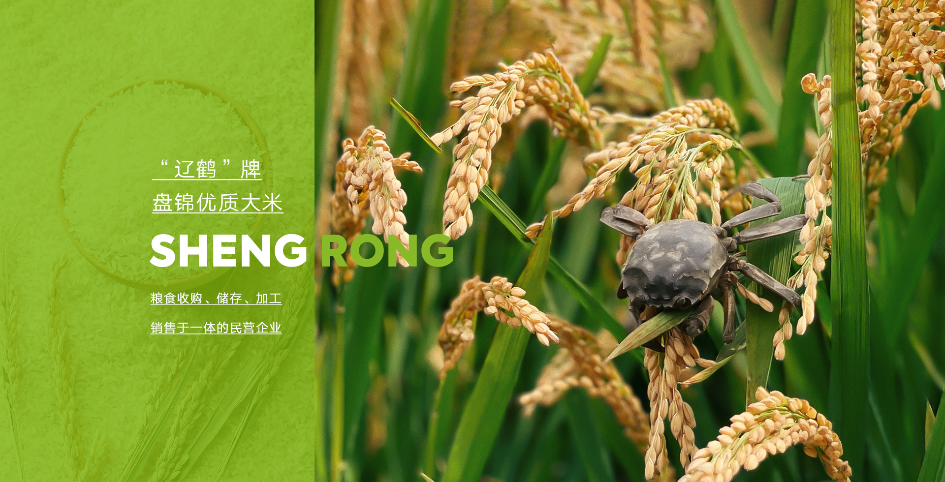 網(wǎng)站首頁(yè)