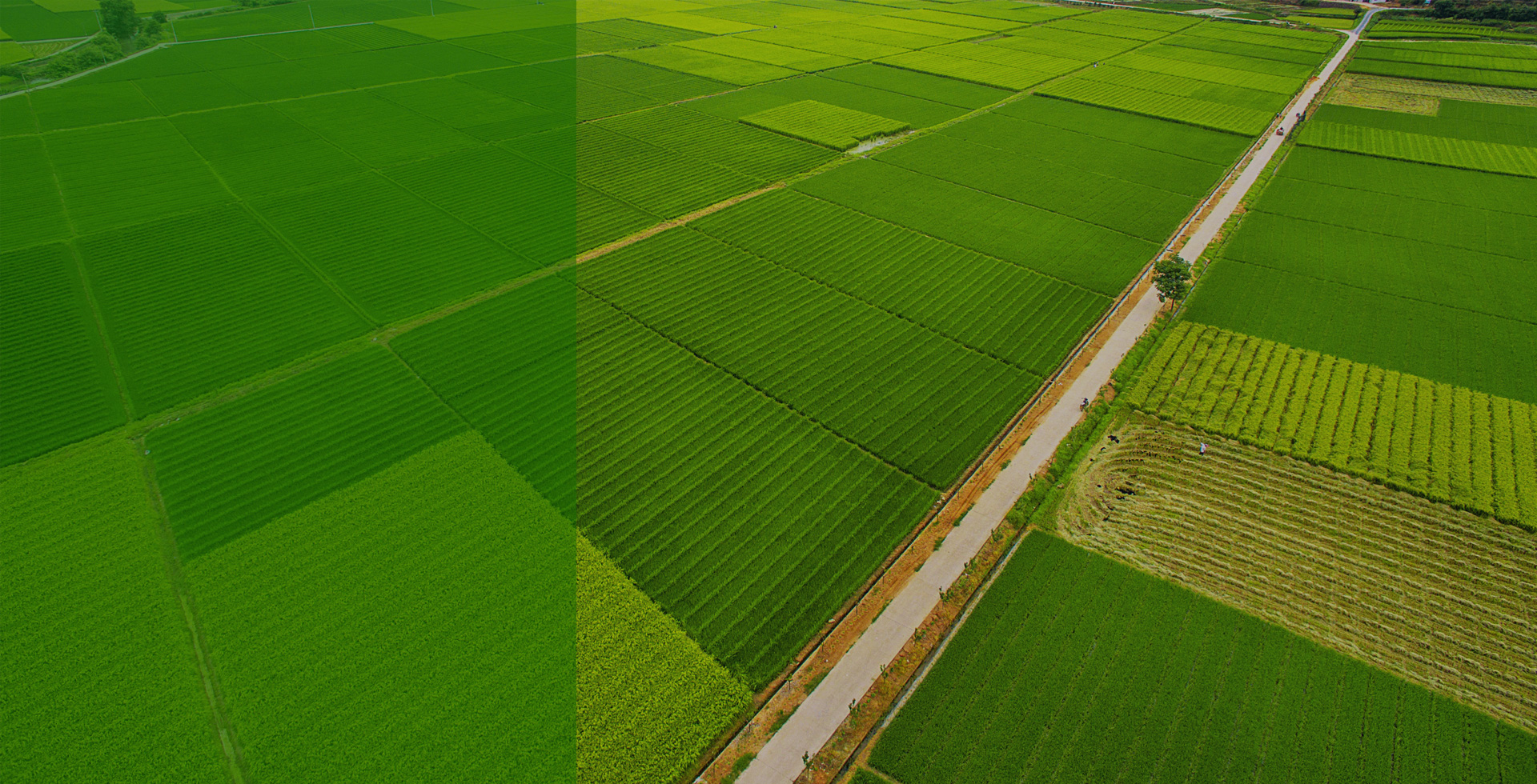 新聞動(dòng)態(tài)