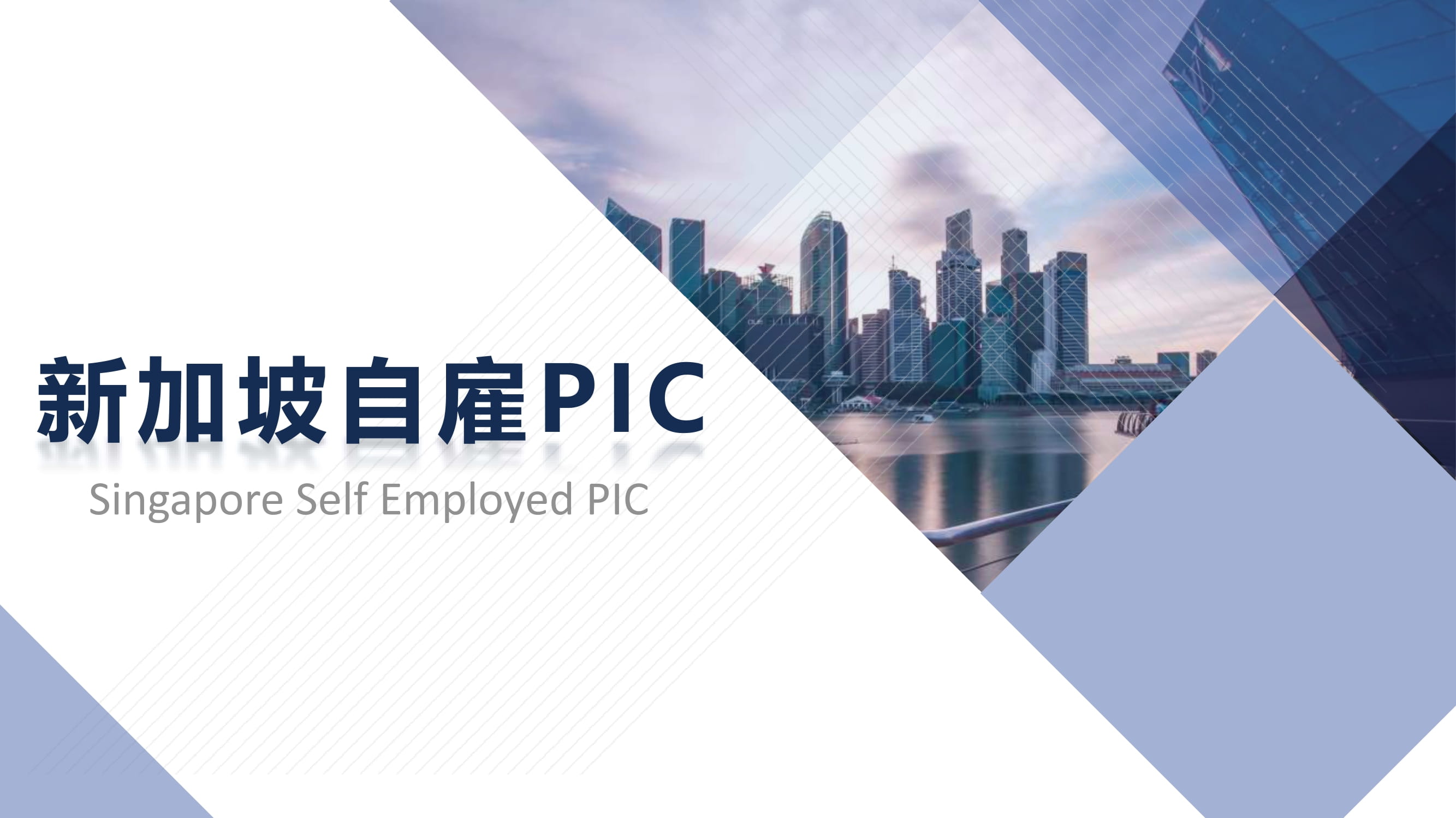 新加坡自雇PIC