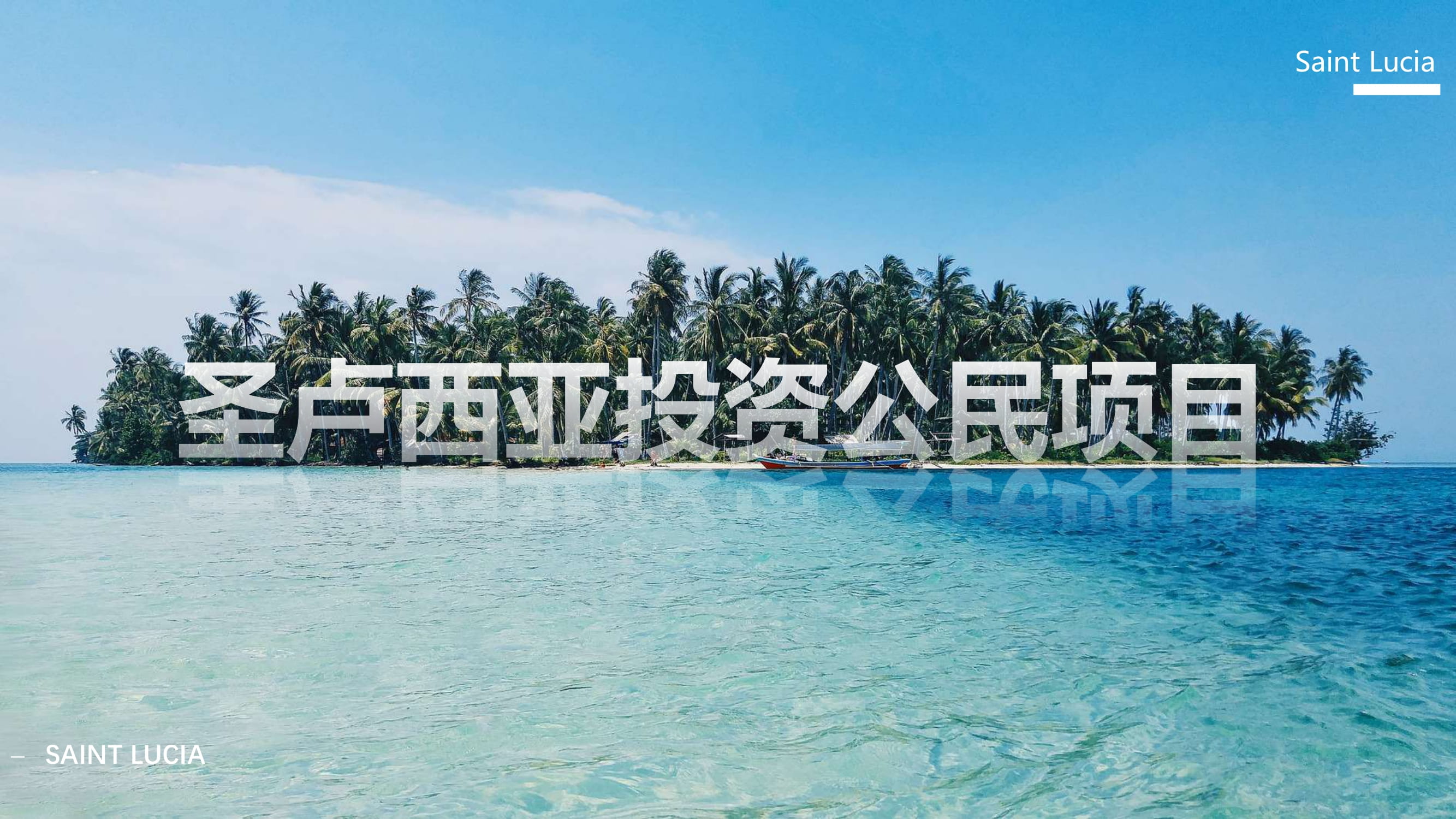 圣卢西亚投资公民项目